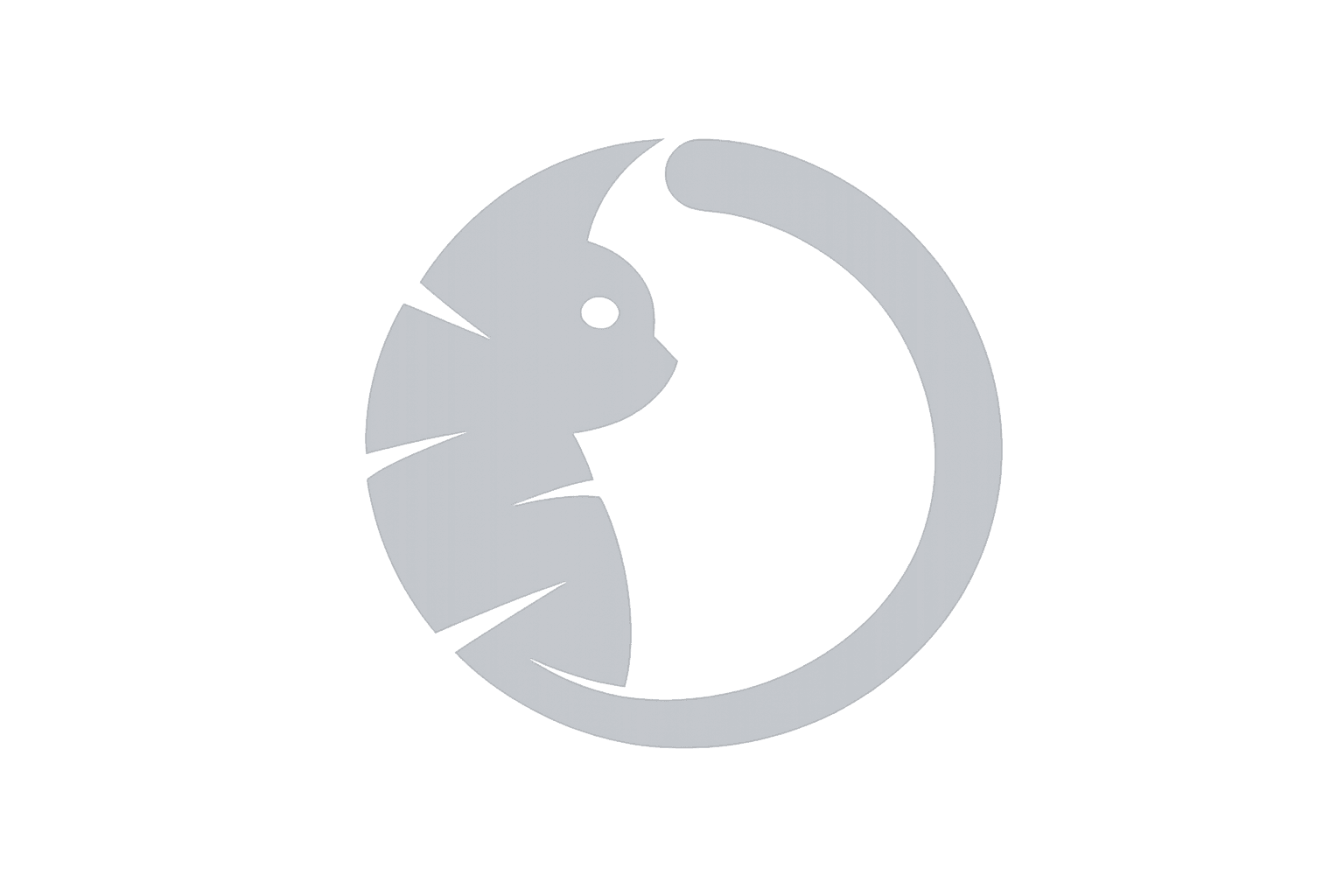 SkullCat Core